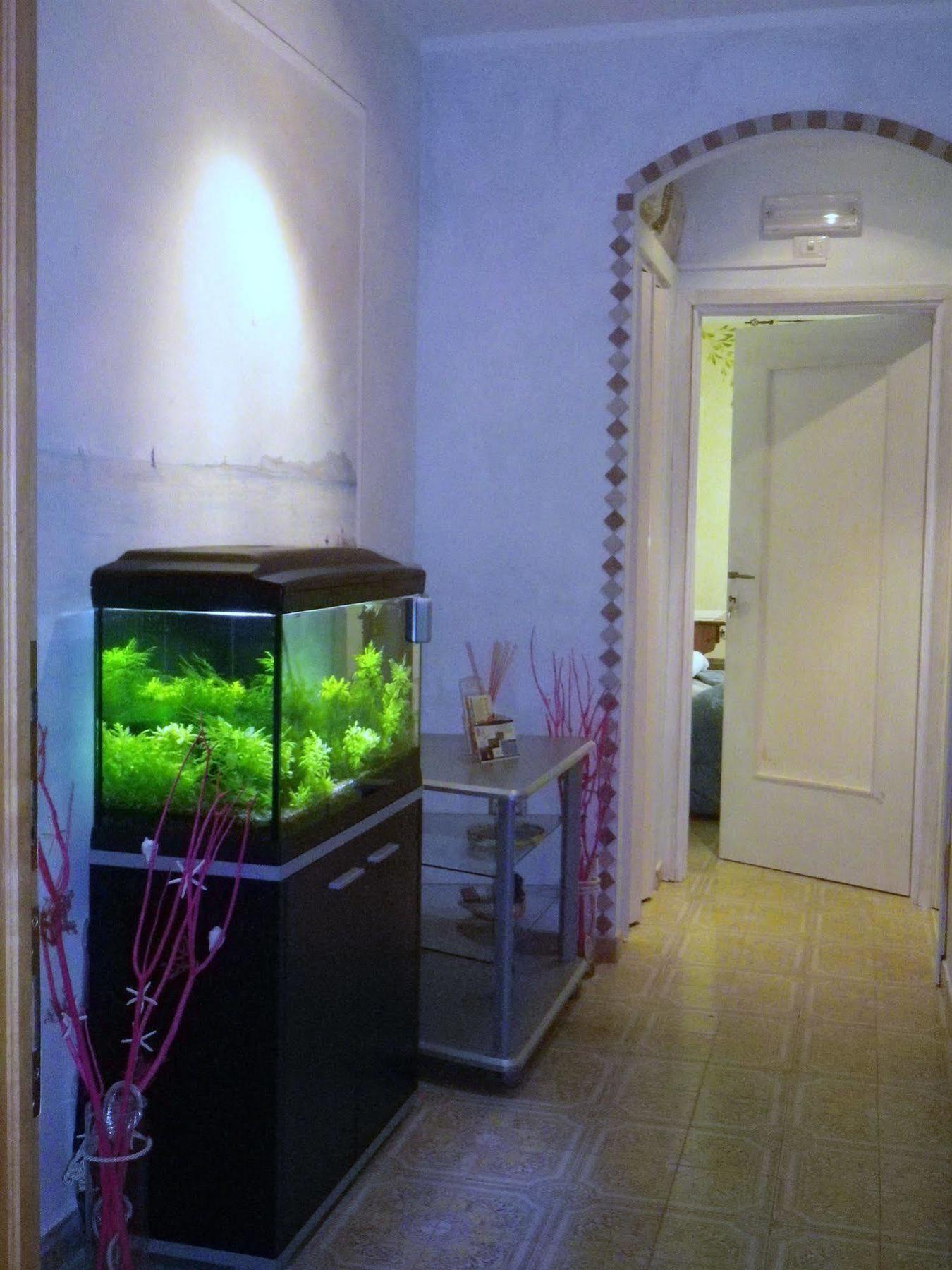 Elisart Guest House Alghero Eksteriør billede